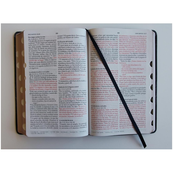 Biblia RVR1960 León de Judá im piel índice manual 10.5pt - Image 4