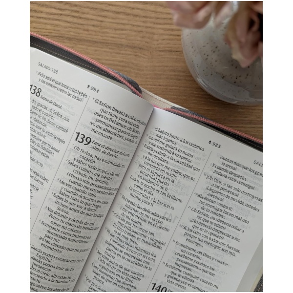 Biblia NTV compacta con filament beige sim piel lt gde cierre 10pt - Image 6