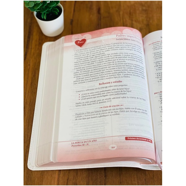 Biblia RVR1960 Devocional lenguajes del amor oro rosa im piel - Image 6