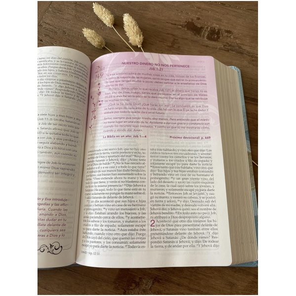 Biblia RVR1960 Mujer conforme al corazón de Dios edicion petalos im piel - Image 6