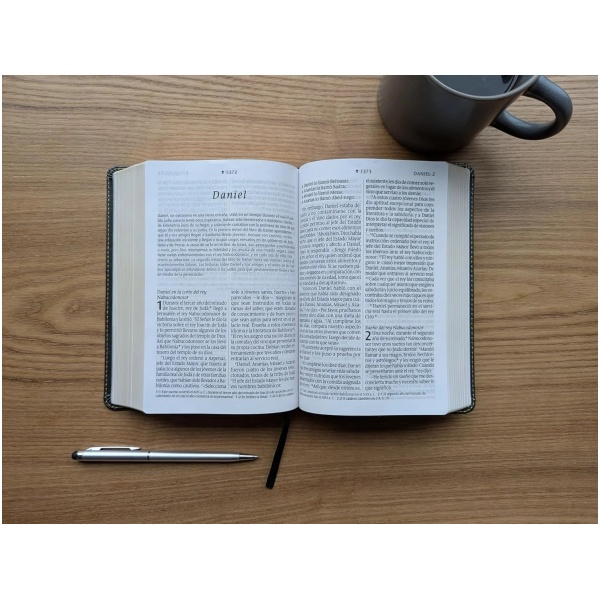 Biblia NTV compacta con filament gris sim piel lt gde 10pt - Image 3