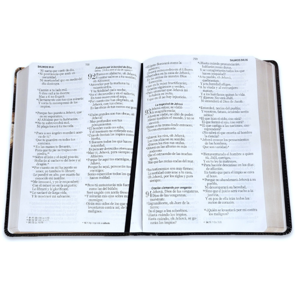 Biblia RVR1960 Esplendor barca sobre libro im piel 15pt 085PRJ - Image 3