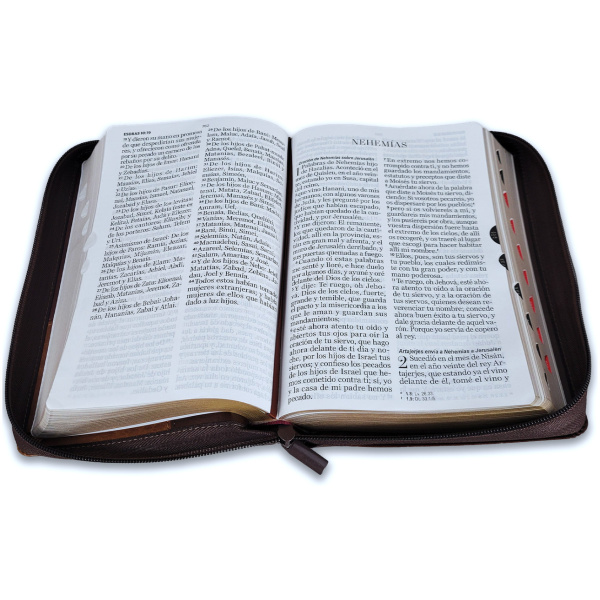 Biblia RVR1960 Iconic café café café im piel cierre índice 14pt - Image 4