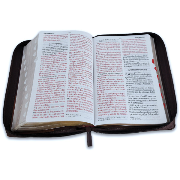 Biblia RVR1960 Iconic café café café im piel cierre índice 14pt - Image 3