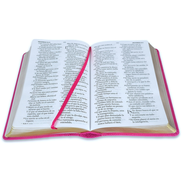 Biblia RVR1960 Corinto rosa im piel 14pt - Image 3