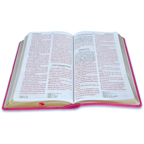 Biblia RVR1960 Corinto rosa im piel 14pt - Image 2