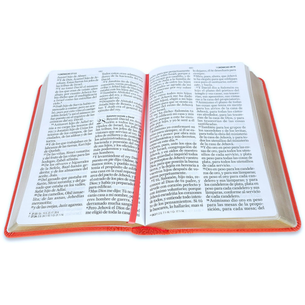 Biblia RVR1960 Corinto coral im piel 14pt - Image 2