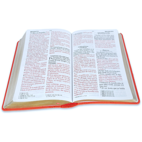 Biblia RVR1960 Corinto coral im piel 14pt - Image 3