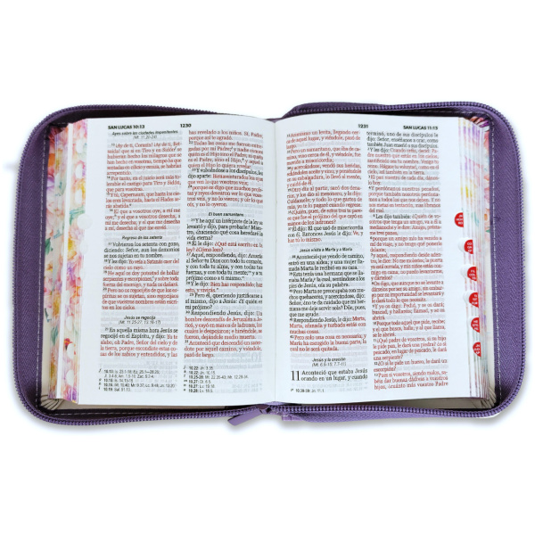 Biblia RVR1960 Jardin lila cto pintado im piel cierre índice 8.5pt - Image 4
