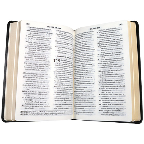 Biblia RVR1960 mediana l gde negro RVR063LG GB - Image 2
