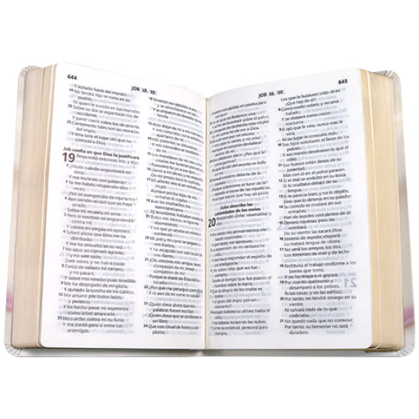 Biblia RVR1960 mediana l gde vinil anillos RVR065LG WR - Image 2