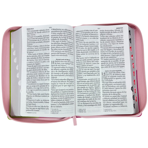 Biblia RVR1960 Iconic fucsia rosa lima im piel cierre índice manual 14pt - Image 5