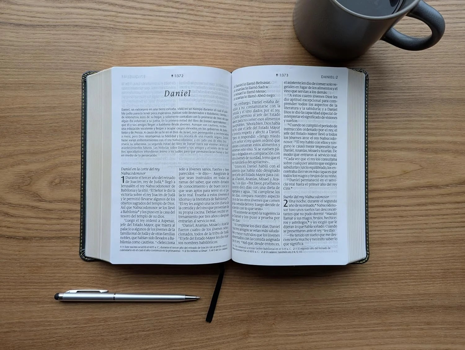 Biblia NTV compacta con filament gris sim piel lt gde 10pt