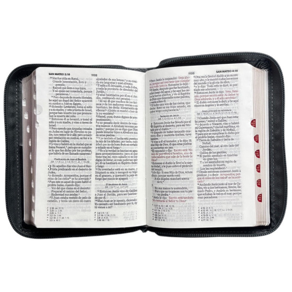 Biblia RVR1960 Expresion negro gris león im piel cierre índice bolsillo 8.5pt - Image 3