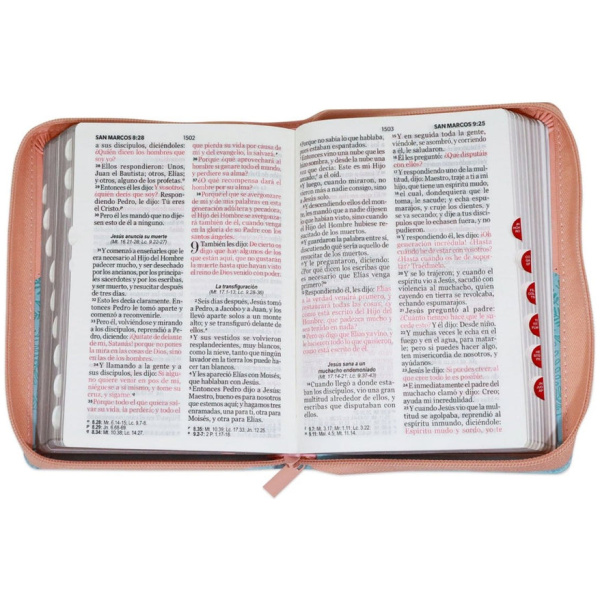 Biblia RVR1960 Entusiasmo rosa azul pajaros im piel cierre índice chica 11pt PJR - Image 4