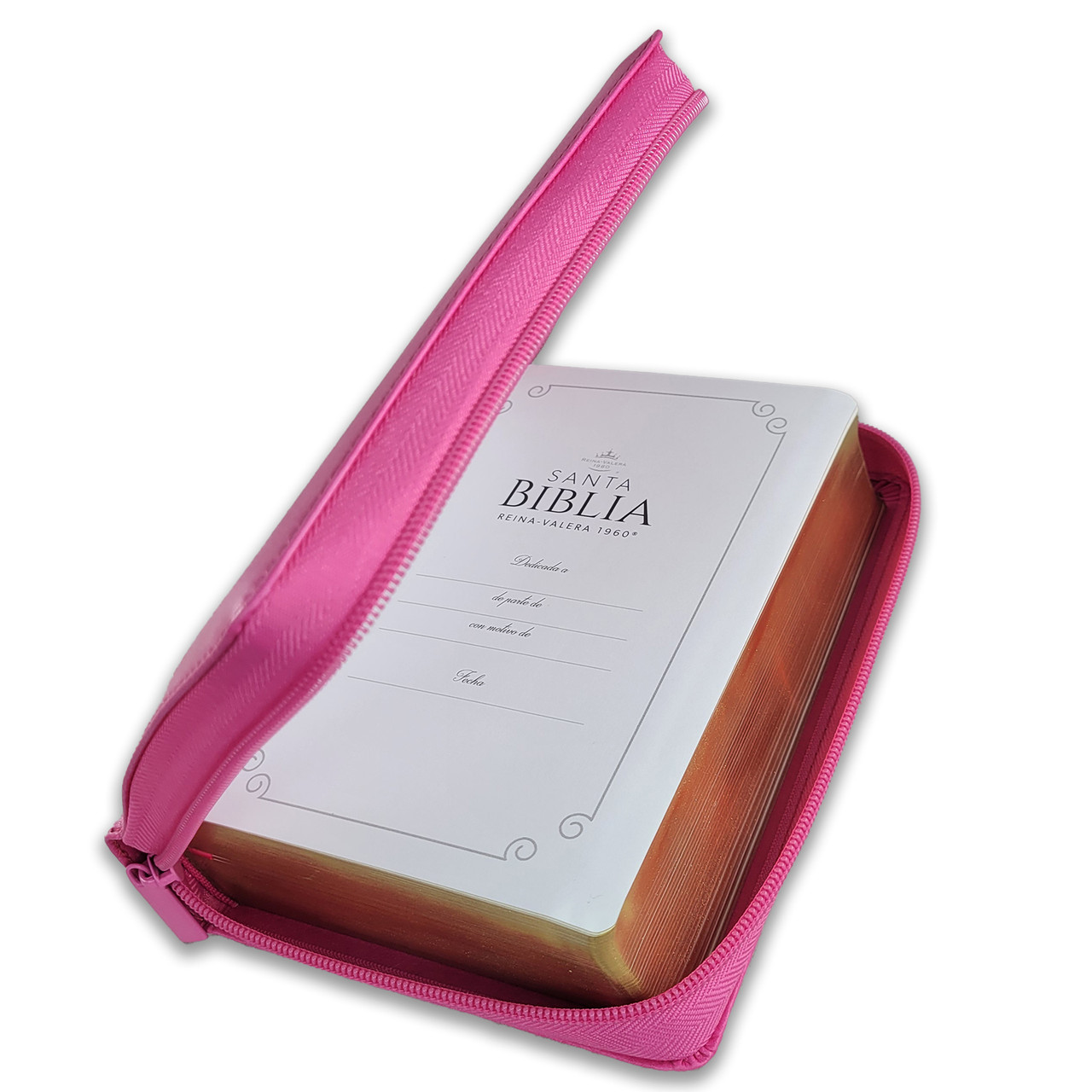 Biblia RVR1960 Clasica fucsia im piel cierre PJR 11pt