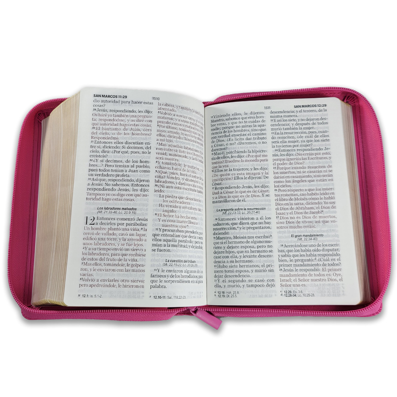 Biblia RVR1960 Clasica fucsia im piel cierre PJR 11pt