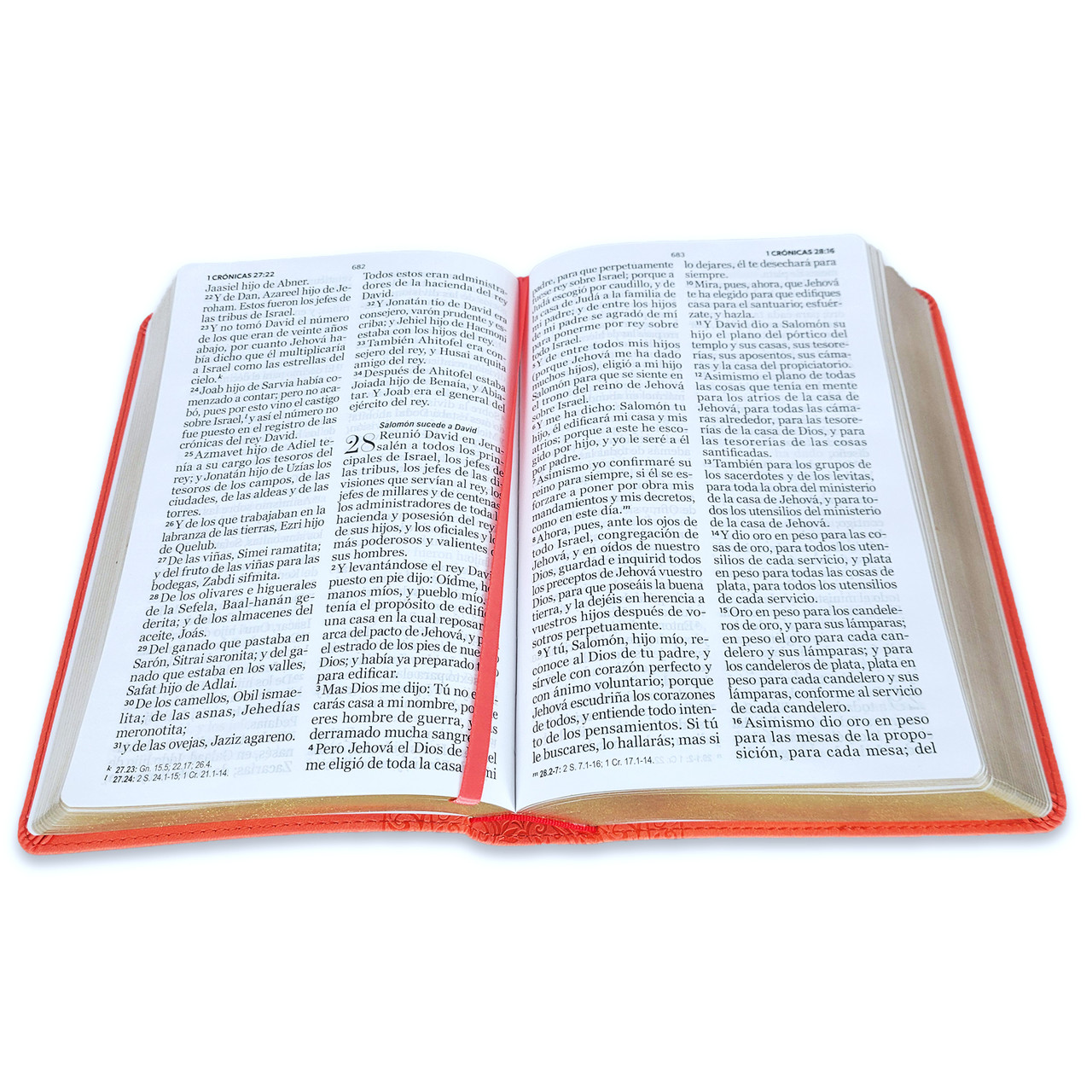 Biblia RVR1960 Corinto coral im piel 14pt