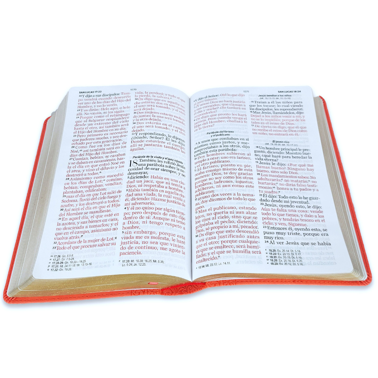 Biblia RVR1960 Corinto coral im piel 14pt