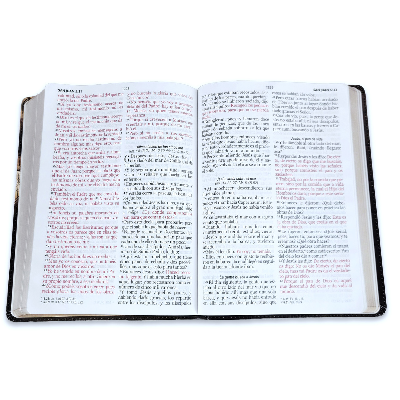 Biblia RVR1960 Esplendor barca sobre libro im piel 15pt 085PRJ