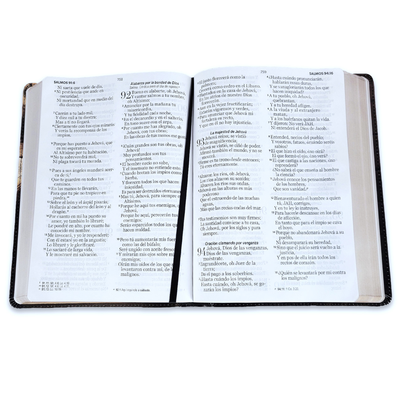 Biblia RVR1960 Esplendor barca sobre libro im piel 15pt 085PRJ