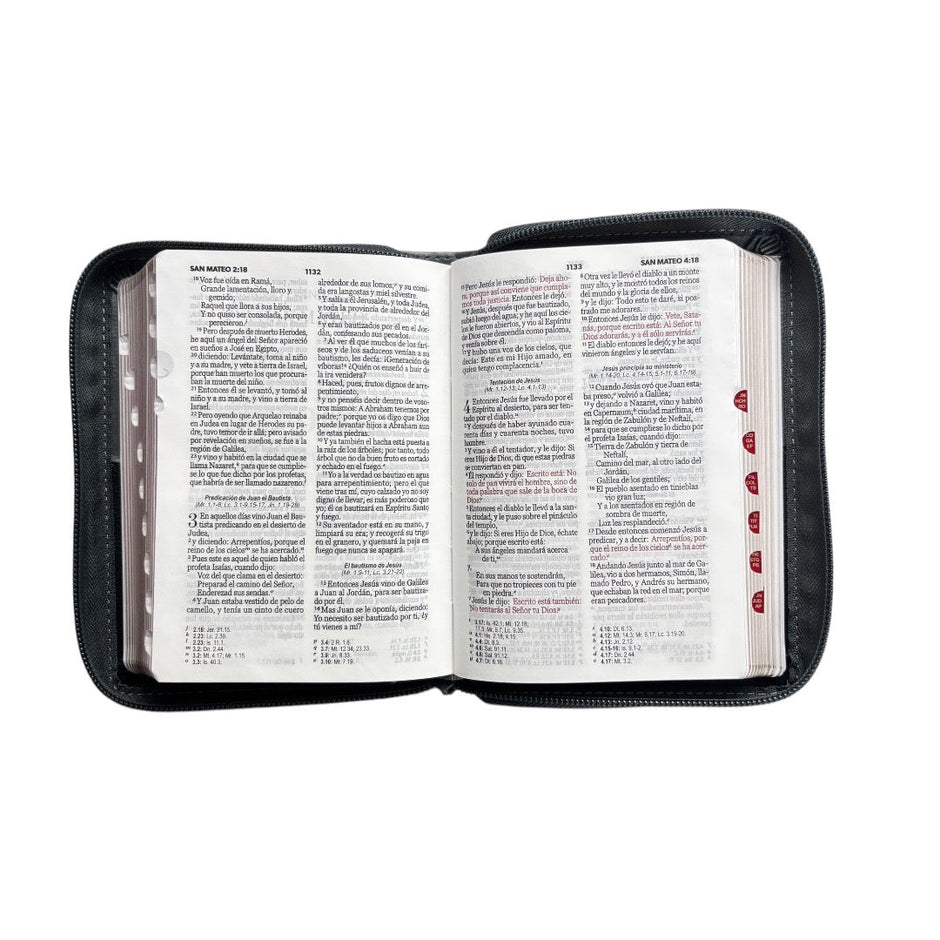 Biblia RVR1960 Expresion negro gris león im piel cierre índice bolsillo 8.5pt