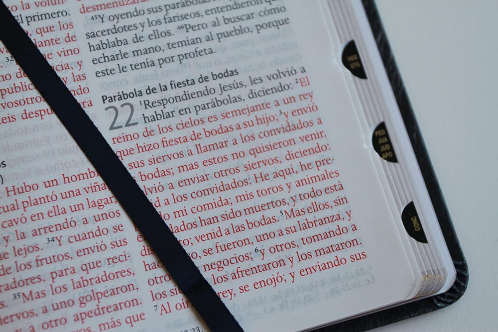Biblia RVR1960 León de Judá im piel índice manual 10.5pt