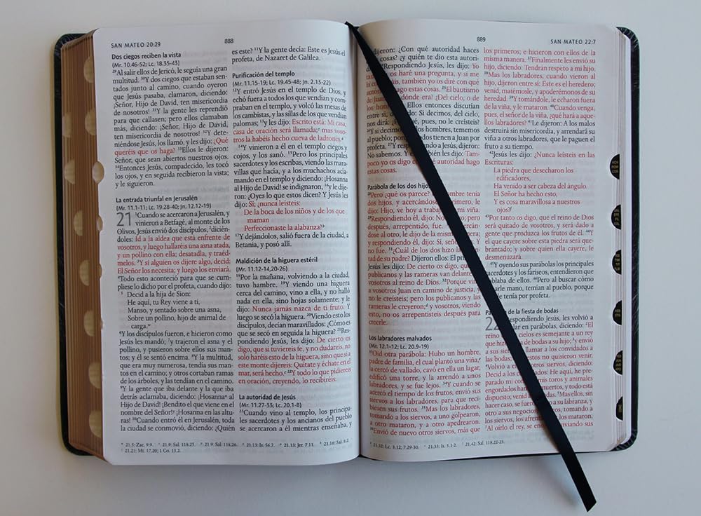 Biblia RVR1960 León de Judá im piel índice manual 10.5pt