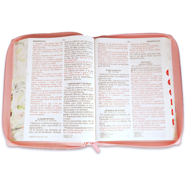 Biblia RVR1960 Maravilla boho rosa im piel cierre índice GI 15P 085PRJ - Image 3