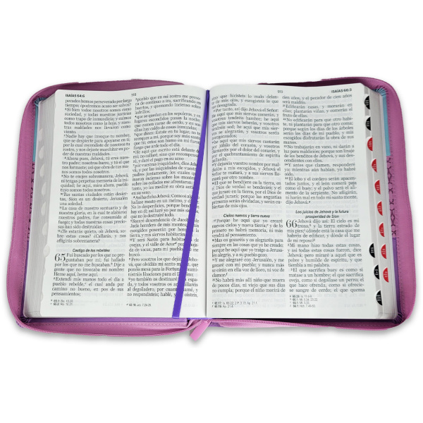 Biblia RVR1960 Tricolor azul/rosa/lila im piel cierre índice 15pt 085PRJ - Image 4