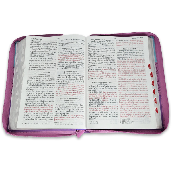 Biblia RVR1960 Tricolor azul/rosa/lila im piel cierre índice 15pt 085PRJ - Image 3