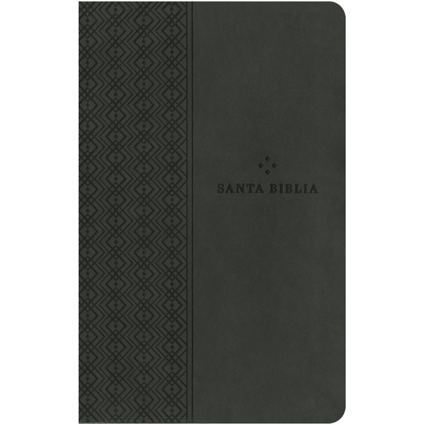 Biblia NTV valor premium con filament gris sim piel 8.25pt - Image 3