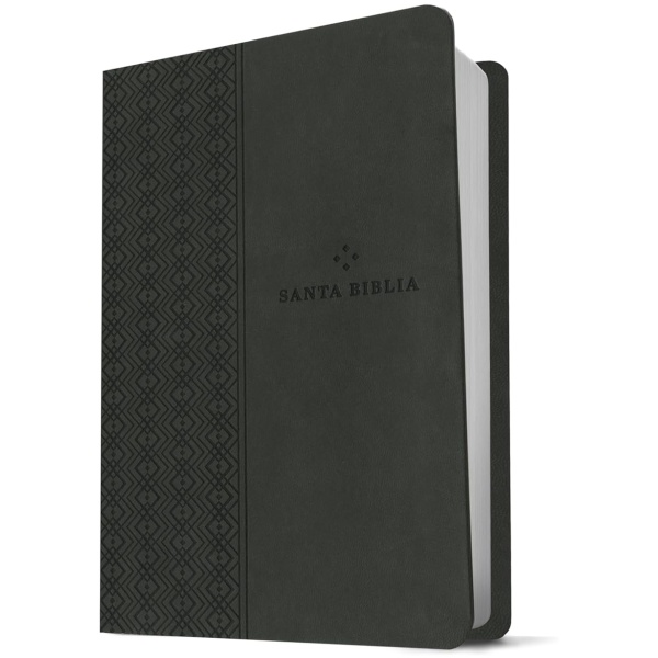 Biblia NTV valor premium con filament gris sim piel 8.25pt - Image 5