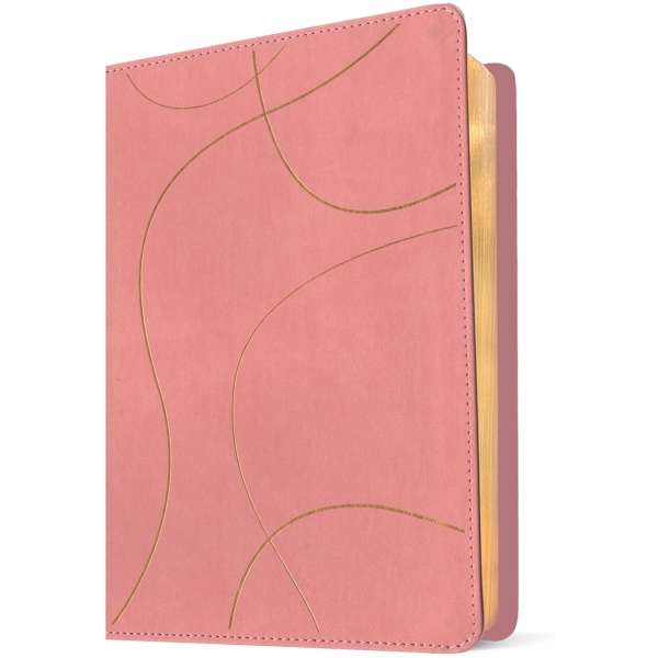 Biblia NTV Estudio diario vivir para jovenes con filament rosa sim piel 8.25pt - Image 5
