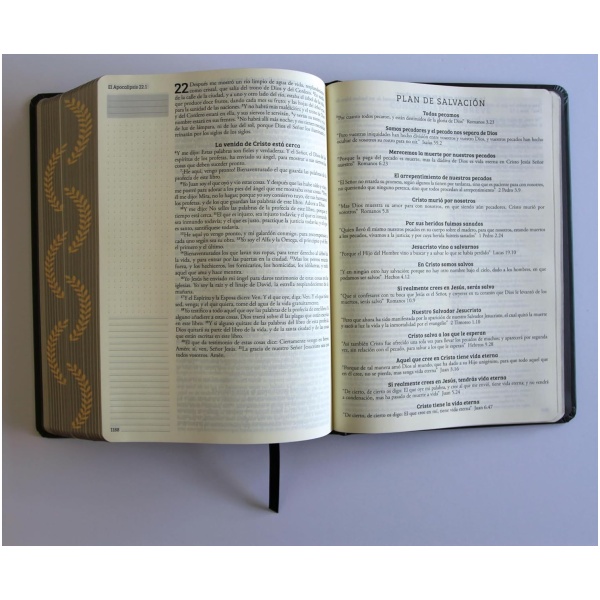 Biblia RVR1960 Apuntes negro oro cto pintado tapa dura manual 11p - Image 7