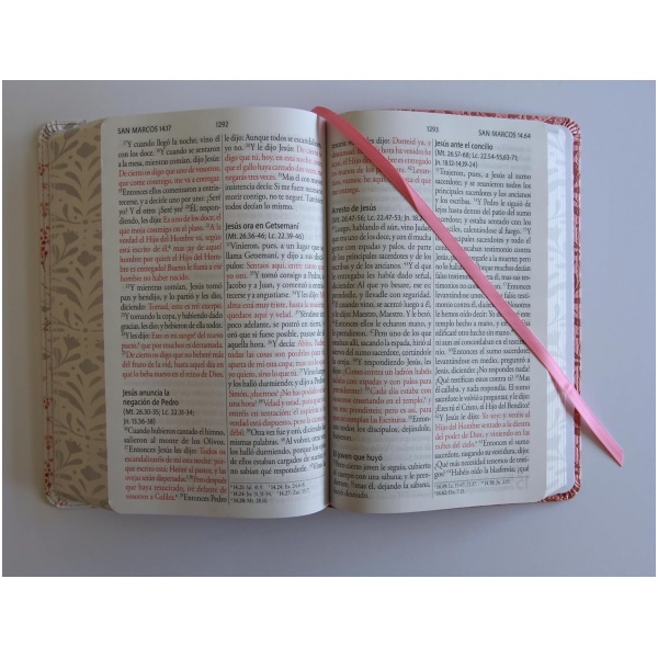 Biblia RVR1960 letra gigante rosada flores cto pintado im piel manual 14p - Image 6