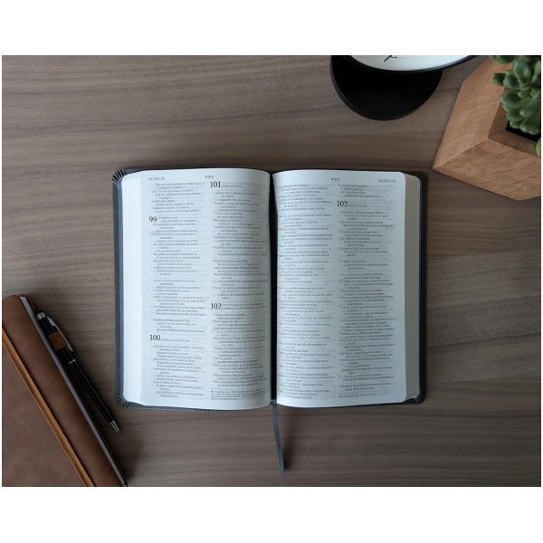 Biblia NTV valor premium con filament gris sim piel 8.25pt - Image 7
