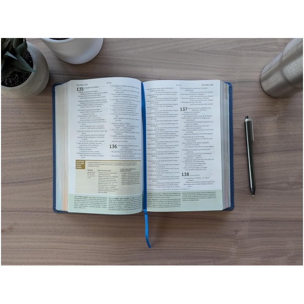 Biblia NTV Estudio diario vivir para jovenes con filament Azul sim piel 8.25pt - Image 7