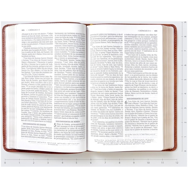 Biblia NBLA Ultrafina cafe im piel manual 10pt - Image 6