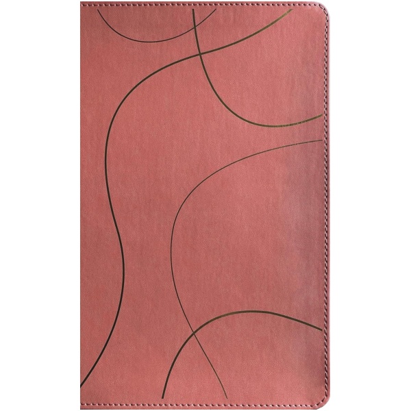 Biblia NTV Estudio diario vivir para jovenes con filament rosa sim piel 8.25pt - Image 3