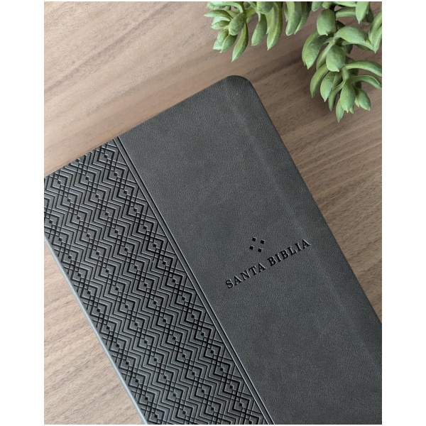 Biblia NTV valor premium con filament gris sim piel 8.25pt - Image 6