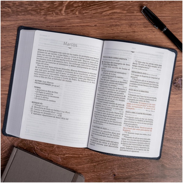 Biblia RVR1960 letra grande ed esp ceniza leon im piel manual 12pt - Image 6