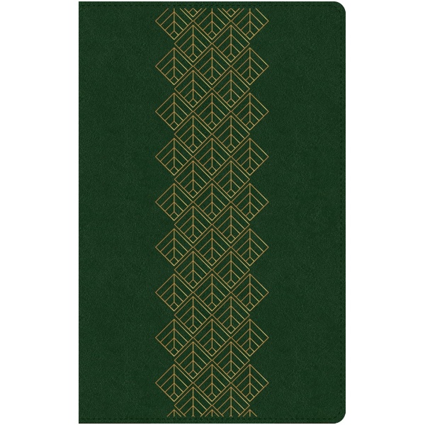 Biblia NTV Ultrafina con filament verde sim piel 8.75p - Image 3