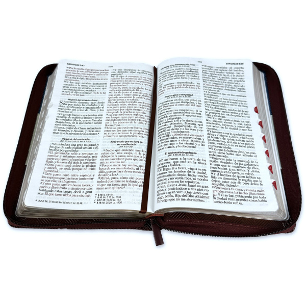 Biblia RVR1960 Tricolor azul gris marron im piel cierre índice manual 12.5pt Vsp - Image 2