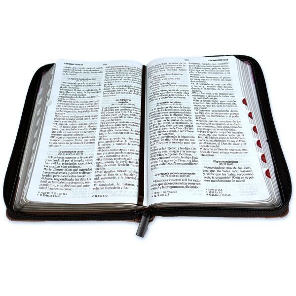 Biblia RVR1960 Fantasia rosa fantasia cafe im piel cierre índice manual 12.5pt Vsp - Image 2