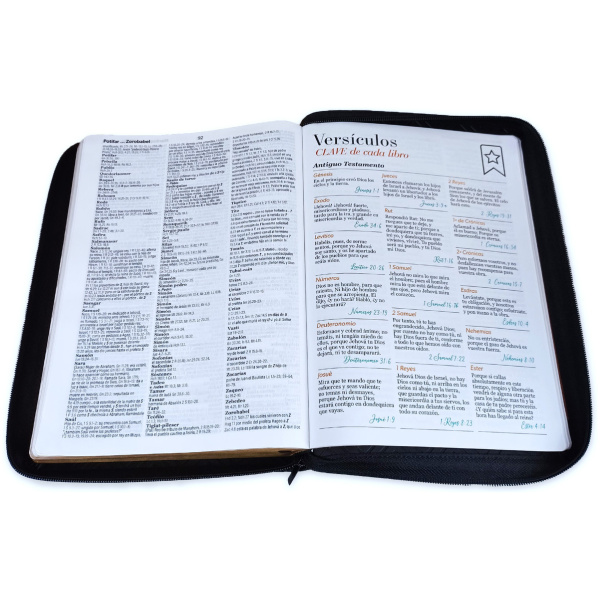 Biblia RVR1960 Geometrico sg negro cafe im piel cierre índice TG 19P - Image 3