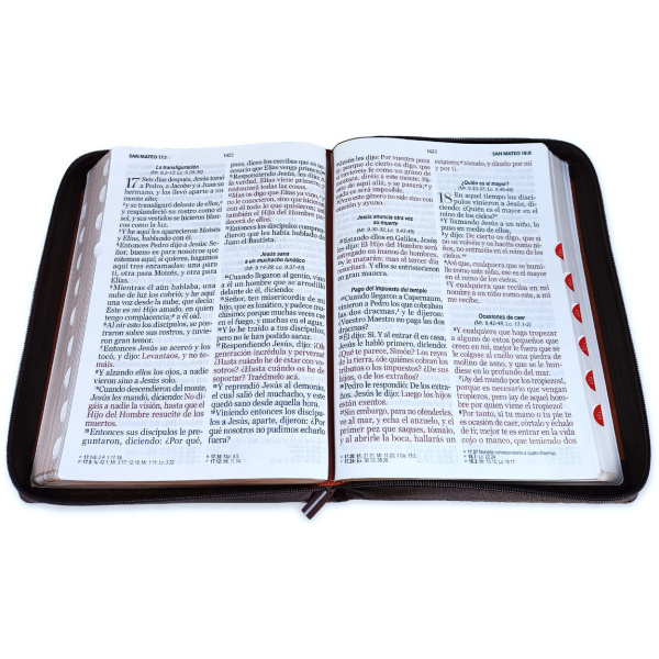 Biblia RVR1960 Geometrico sg negro cafe cafe im piel cierre índice TG 19pt - Image 2