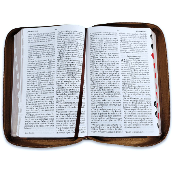 Biblia RVR1960 Inspiracion ictus café im piel cierre índice TM 12.5pt - Image 2