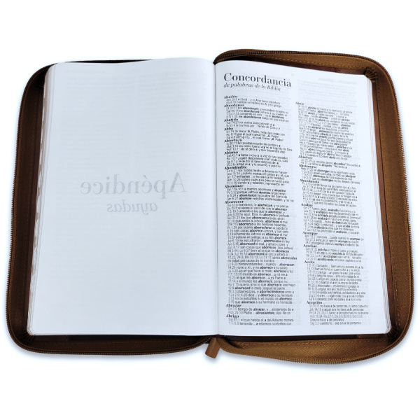 Biblia RVR1960 Inspiracion ictus café im piel cierre índice TM 12.5pt - Image 4