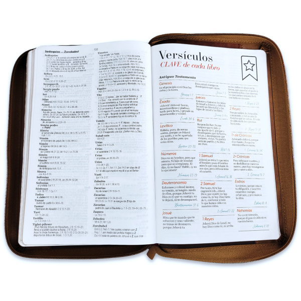 Biblia RVR1960 Inspiracion ictus café im piel cierre índice TM 12.5pt - Image 5
